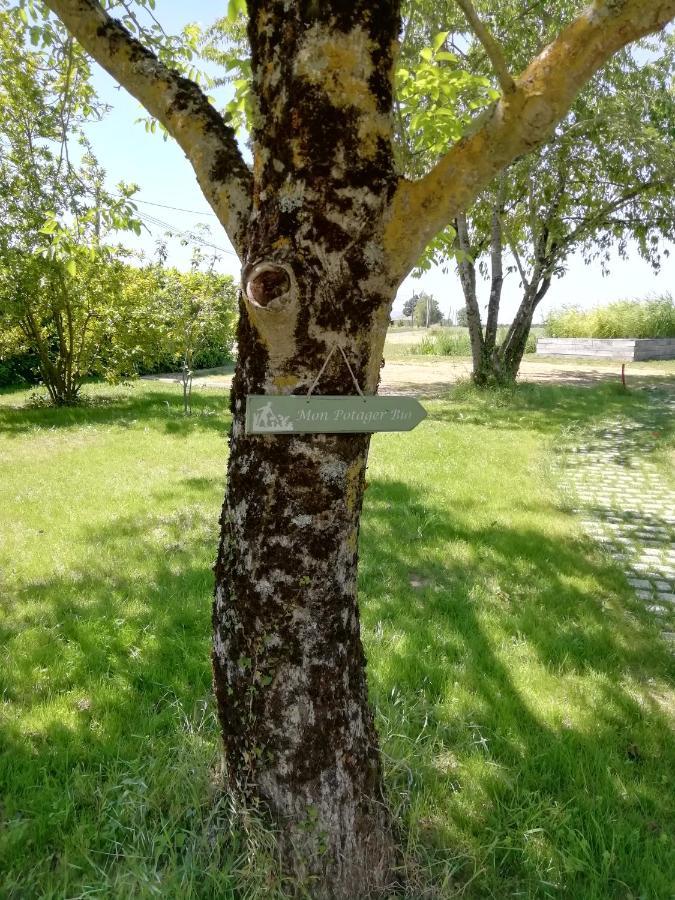 La Planche Princee, Chambres D'Hotes Ecolo Et Potager Bio, Sauna Les Rosiers-sur-Loire Bagian luar foto